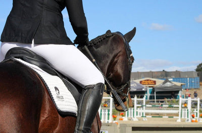 Is Anhidrosis Affecting Your Horse?