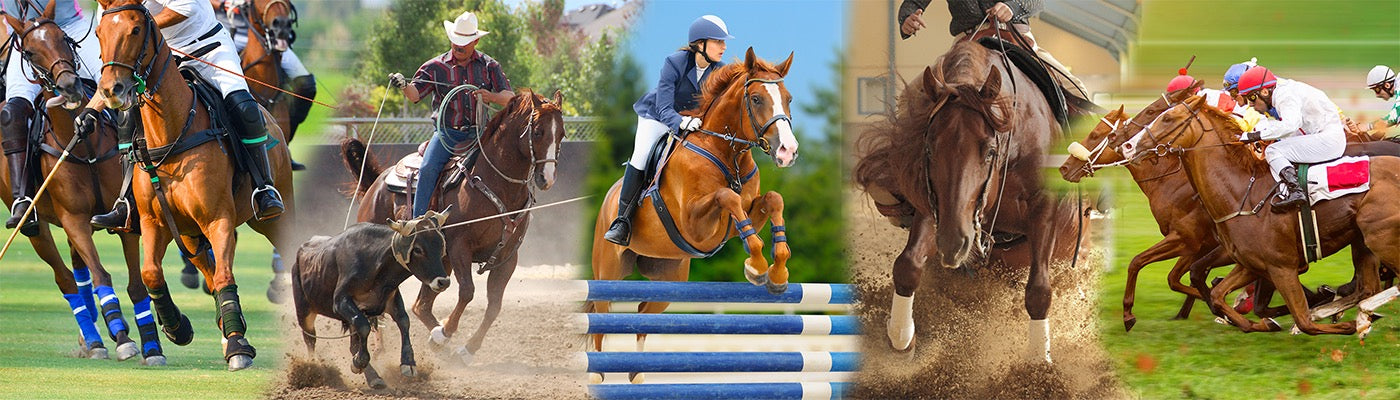 Equine Supplements