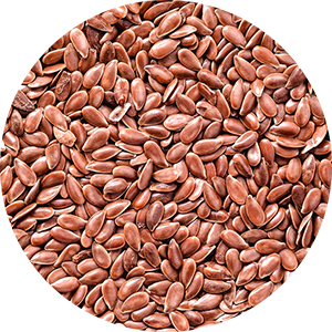Flax Seed Ingredients
