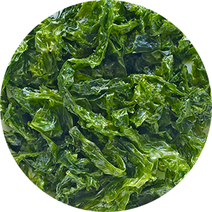 Sea Kelp