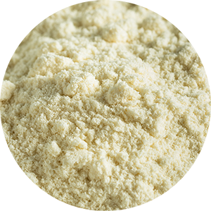 Whey Protein