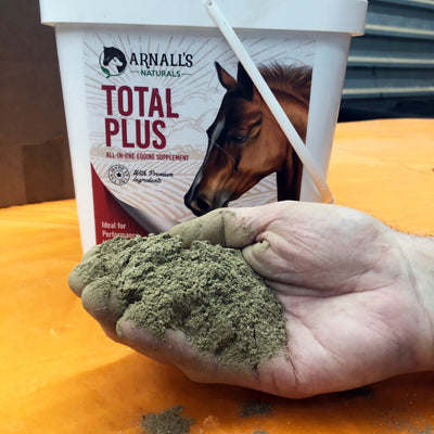 Total Plus Powder in a hand